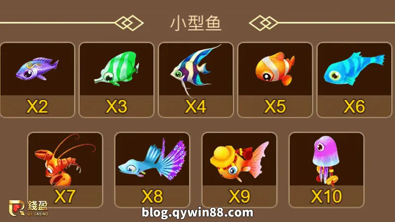 ZG電子三仙捕魚|小型魚介紹