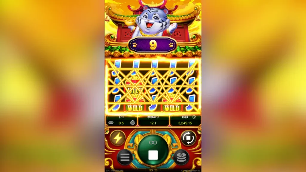 金虎爺：RG電子老虎機評價2