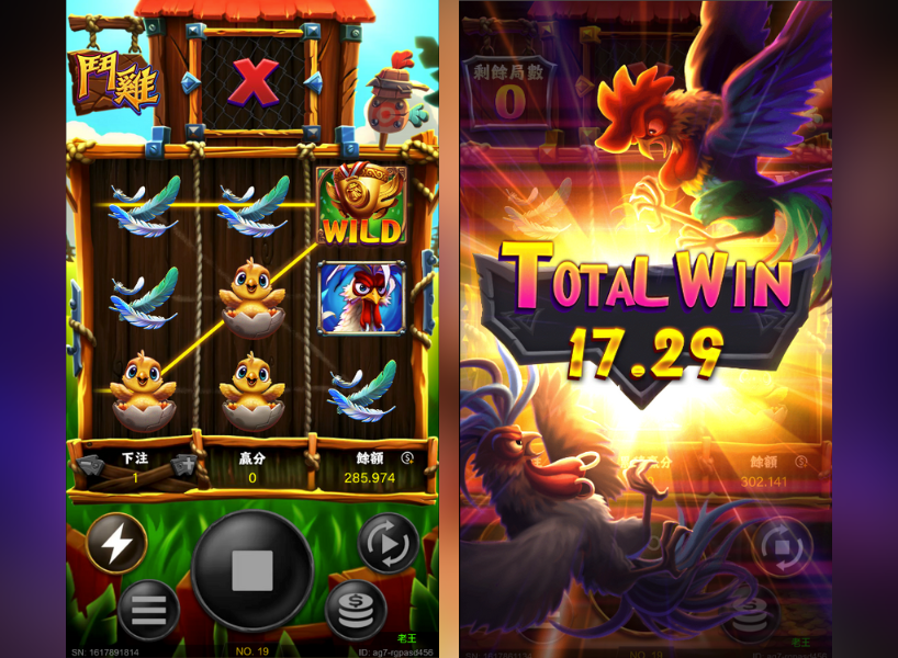 鬥雞 遊戲畫面 2